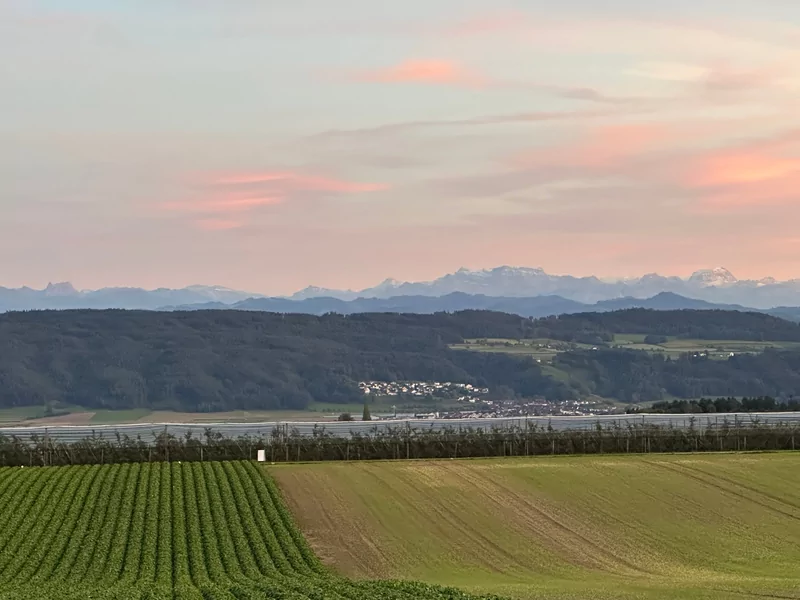 Aussicht vom Seerücken aufs Thurtal