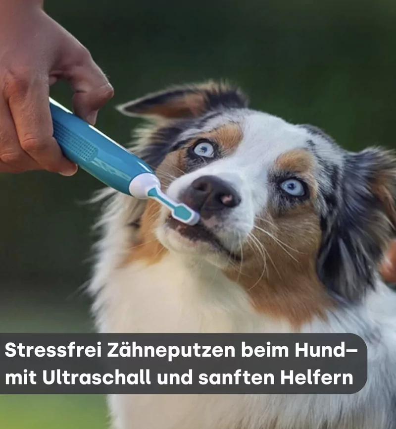Logo Emmi-Pet Schweiz