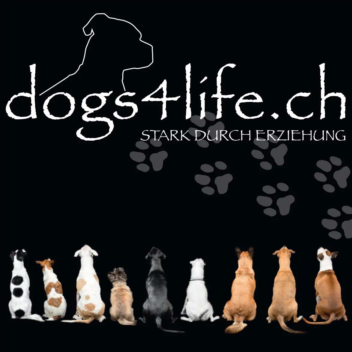 Hundeschule DOGS4LIFE - 01a0f6df c148 795c b63a fd60ef520053 1920